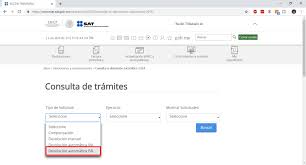 como saber si tengo saldo a favor en el SAT