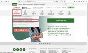 como hacer una declaracion mensual