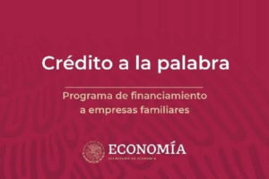 ¿Qué es el Crédito a la Palabra y cuál es su situación actual?