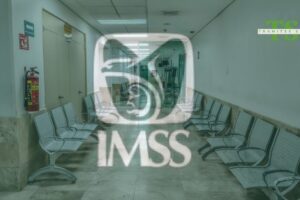 ¿Cómo tramitar mi número de seguro social por primera vez?