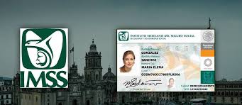 ¿Cómo tramitar mi número de seguro social por primera vez?