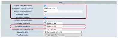 ¿Cómo dar de baja a un trabajador en el IMSS?