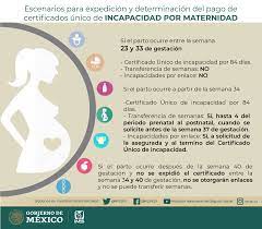 Incapacidad por maternidad ISSSTE: ¿Cuántas semanas son, cómo se paga y dónde se tramita?