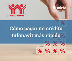 ¿Cuántos años son los que se pagan de interés en Infonavit?
