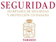 Carta de Antecedentes no Penales Tabasco