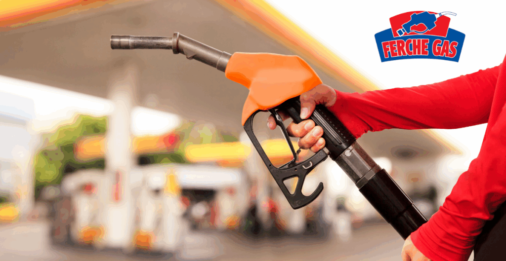 facturación ferchegas